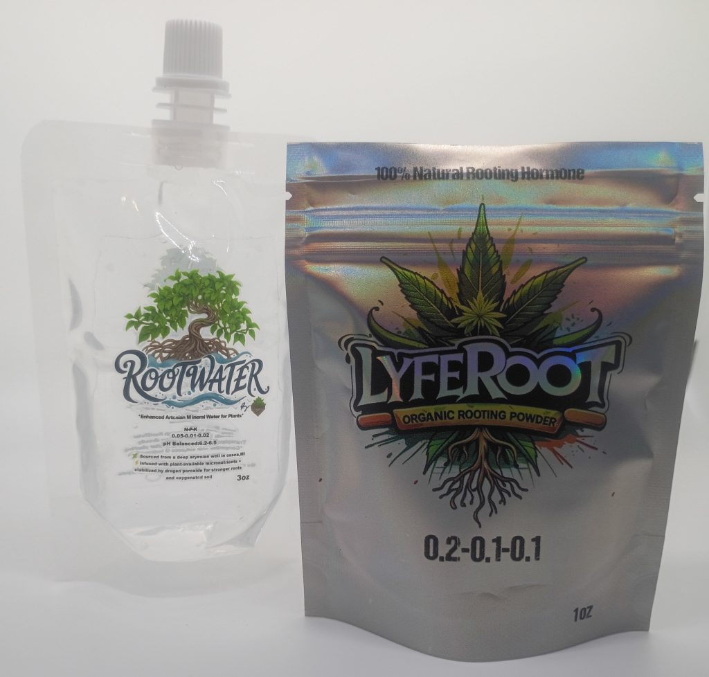 The Rooted In Success Bundle