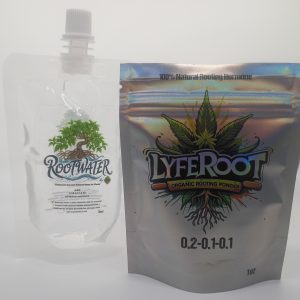 The Rooted In Success Bundle